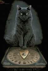 HAED HAELIP 21364 His Masters Voice by Lisa Parker