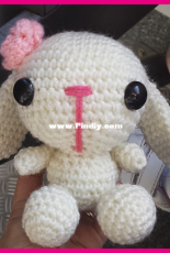 Spring Bunny