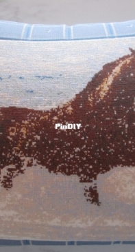 Horse in the water