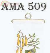 AMA 509