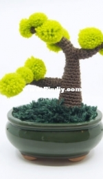 Club Crochet - Louies Loops - Louis Mensinger - Crocheted Bonsai Tree