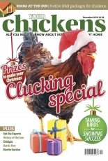 Your Chickens - December 2018