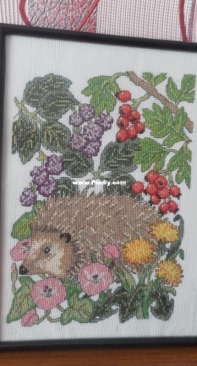 Hedgehog