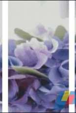 JInXin Cross Stitch - wedding floral