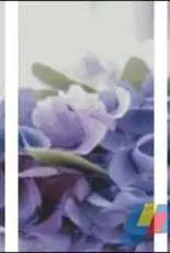 JInXin Cross Stitch - wedding floral