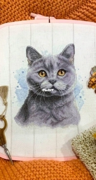 Banani Stitchery - British Blue Shorthair Cat by Anna Banani