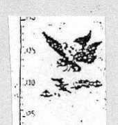 Lanarte 30111 Height Chart