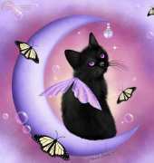 HAEDMED 12350 Daybreak Moon by Melissa Dawn