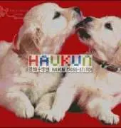 Haukun A-010 - Frolic