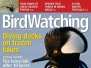 Bird Watching - February 2015