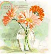 I Love Cross Stitch MK-003 Tangerine Gerbera