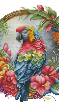 Luca-S BC201 The Tropical Parrot XSD