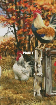 HAED HAEDJG 25304 Rooster Farm by Dona Gelsinger