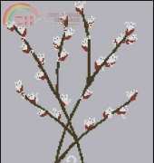 Tani211 - Cats_willow