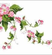 Anchor Design Studio - Wild Roses XSD