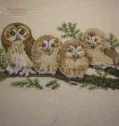 4 Owls
