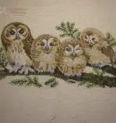 4 Owls