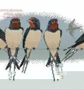 Derwentwater Designs BB05 Swallows