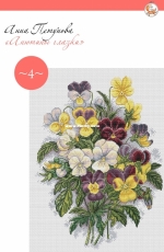 Pansies by Anna Petunova
