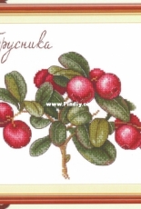 M.P. Studio HB-650 - Gifts of Nature - Lingonberry