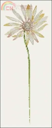 DMC BK050 Daisy
