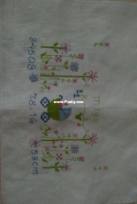 My first birth record for my niece
