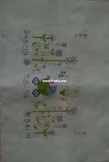 My first birth record for my niece