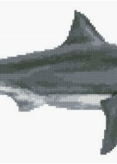 Artecy Cross Stitch - Great White Shark