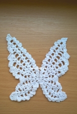Butterfly Wing