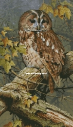 Chimera - Tawny Owl