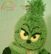 Snappy Tots- Heidi Yates- Christmas Thief (Grinch Hat)