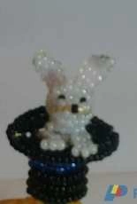 rabbit in hat