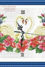Swan