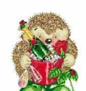 DMC Country Companions - Anniversary