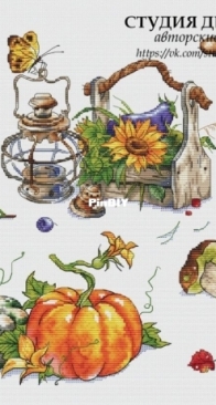 The Design Studio - Warm Autumn Sampler