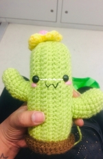Cactus