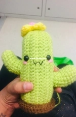 Cactus