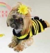 Crochetguru - Crochet Dog Sweater - Free