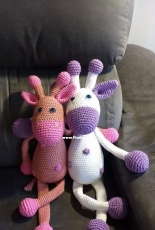 Girafe couple
