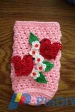 Red Birds Water Bottle Cover