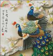 Peacock y Peony