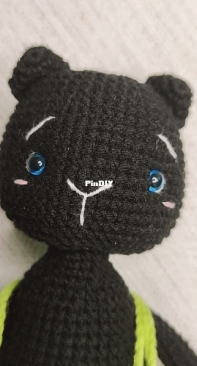black cat