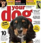 Your Dog March 2015