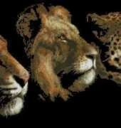 Cross My Heart CSB 230 Wild menagerie