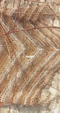 Kajastus Shawl