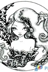 HAED HAECCK 30263 The Seahorse Chin-Chou Kuik