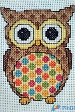 Owls Galore