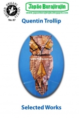 British Origami Society - Quentin Trollip Selected Works