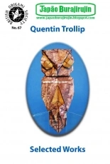 British Origami Society - Quentin Trollip Selected Works