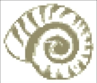 Shell 117/conchiglia 117 by Flli Graziano Italy